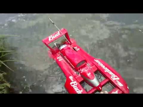 Miss budweiser 6S Martin Kacev
